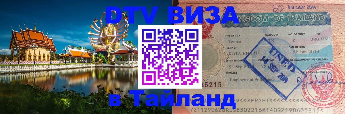 Оформление DTV визы под ключ: стоимость и тарифы, только загранпаспорт - 18.11.2025 